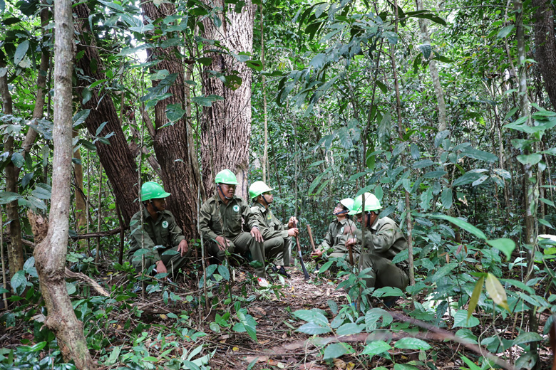 Rừng Lâm Đồng được quản lý, bảo vệ tốt hơn nhờ chính sách chi trả dịch vụ môi trường rừng