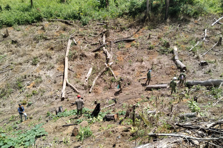 Ban Quản lý rừng Phi Liêng tổ chức truy quét, giải tỏa các điểm nóng về lấn chiếm đất lâm nghiệp trên địa bàn