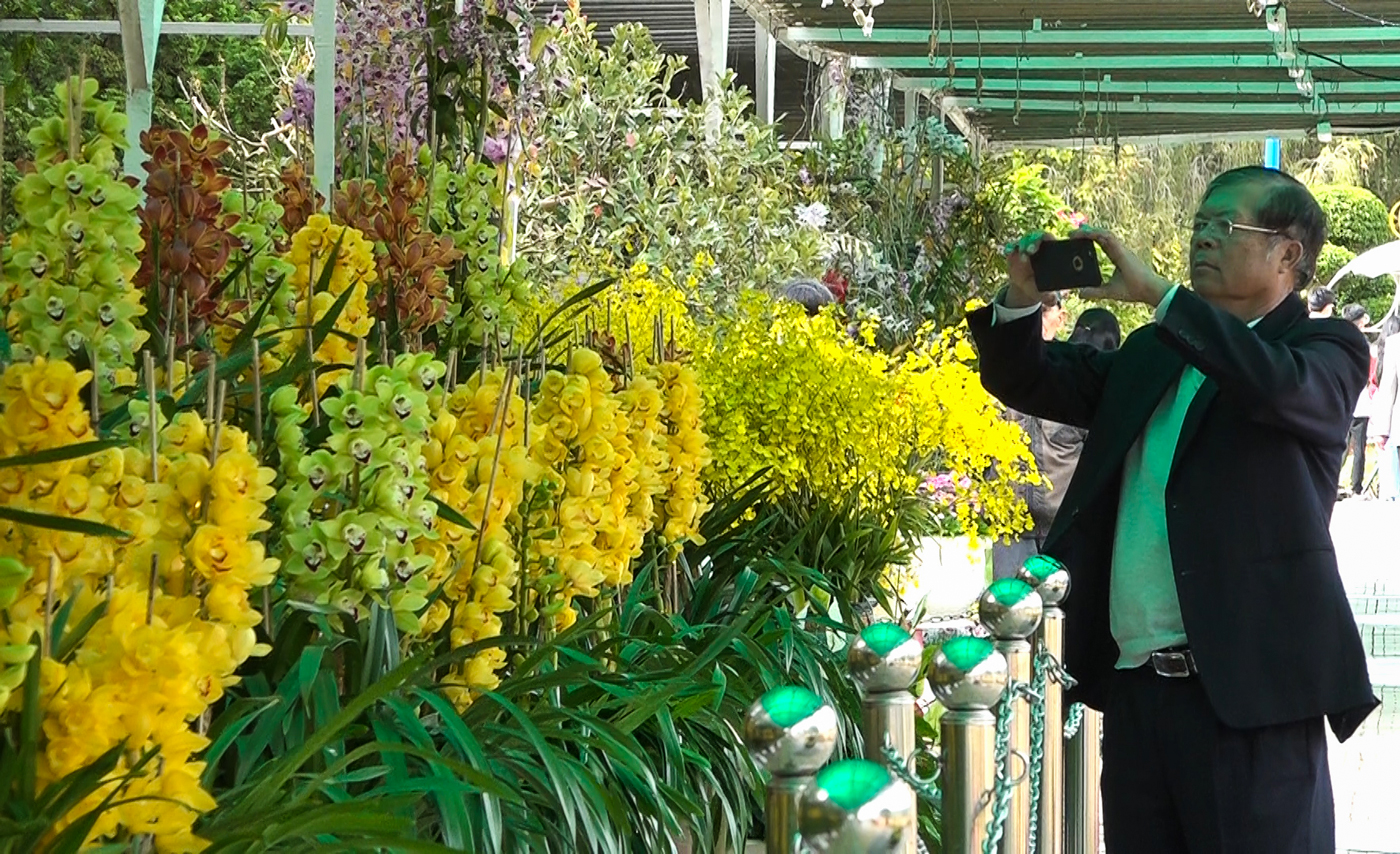 Hơn 35.000 lượt khách đến tham quan triển lãm hoa và cây có hoa quốc tế