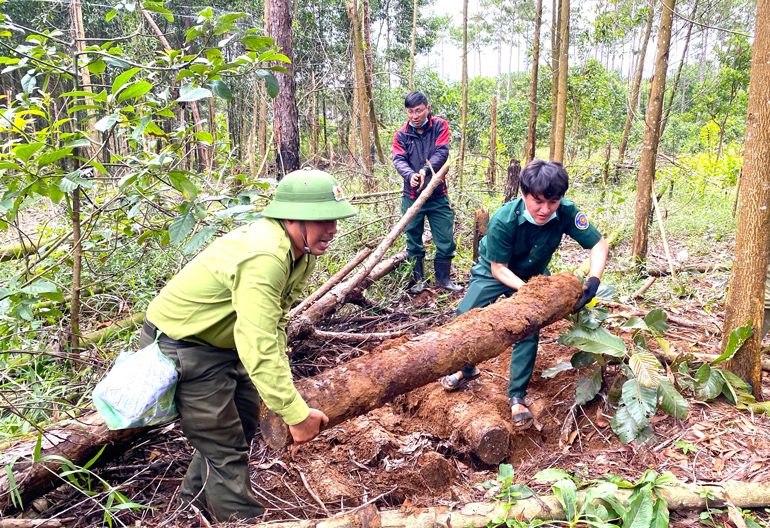 Vụ người tố giác phá rừng bị hành hung: Khởi tố vụ án hình sự