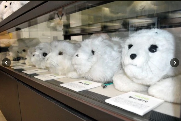 Nhiều mẫu Paro khác nhau được trưng bày tại phòng thí nghiệm của Viện Khoa học và Công nghệ Công nghiệp Tiên tiến Quốc gia (AIST) ở Tsukuba, Tỉnh Ibaraki