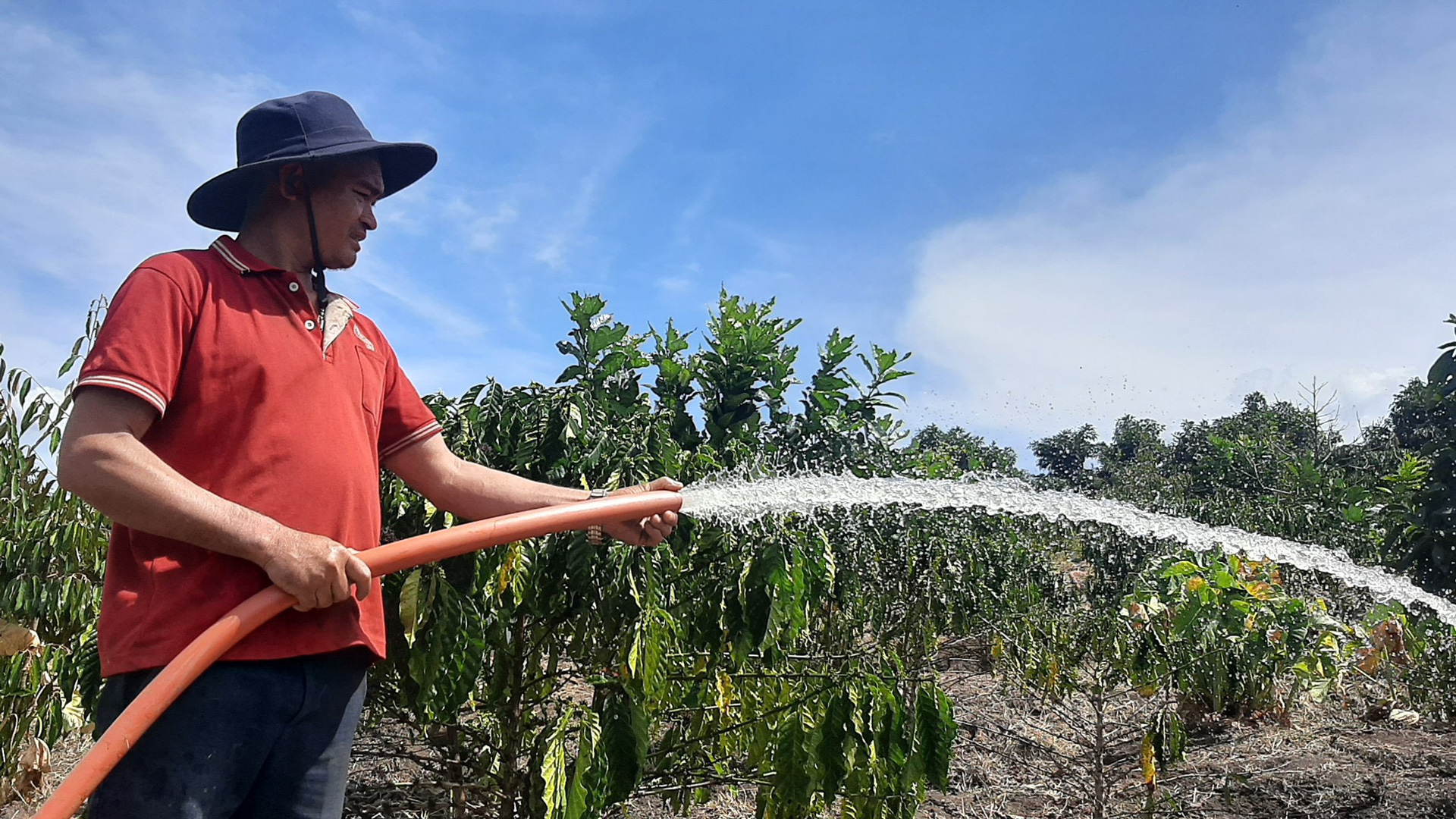 Di Linh: Khoảng 2.500 ha đất sản xuất nông nghiệp có nguy cơ thiếu nước vào mùa khô