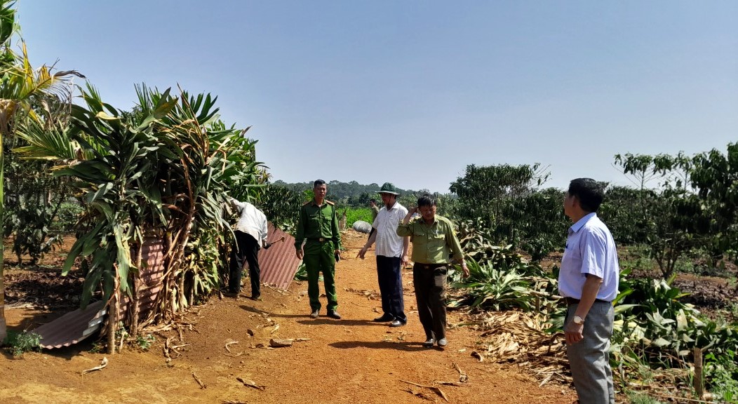 Bảo Lâm: Kịp thời phát hiện, giải tỏa vụ lấn chiếm đất rừng tại xã Lộc Ngãi