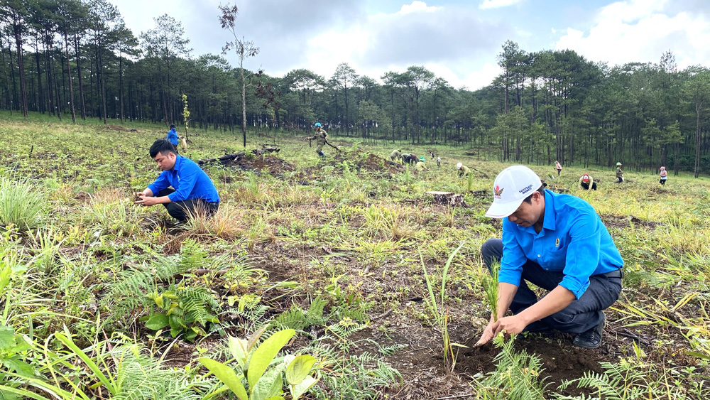 Bảo Lâm: Phát động chương trình trồng hơn 1 triệu cây xanh năm 2023