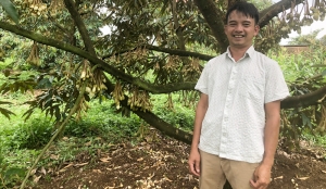 Vườn sầu riêng OCOP trên đất Lộc Phú
