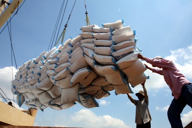 Việt Nam sẽ là nguồn cung gạo chính cho Indonesia