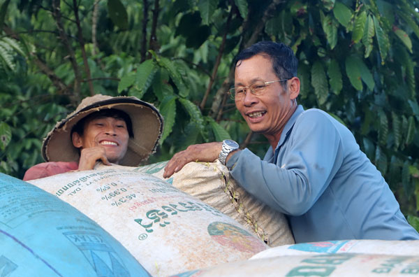 Niềm vui thu hoạch cà phê sau 1 năm chăm sóc của người dân. Ảnh: K.Phúc
