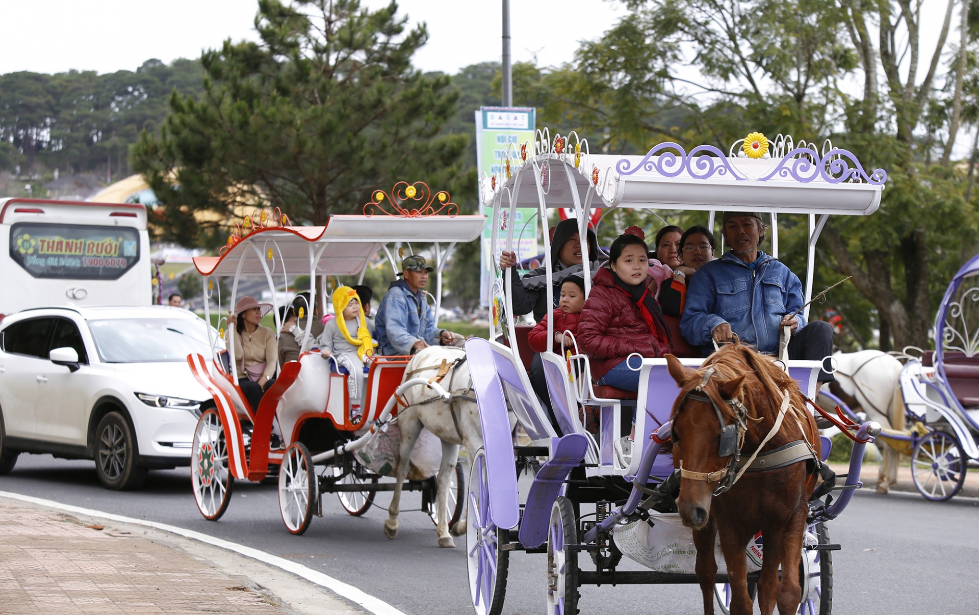 Du khách thích thú với dịch vụ đi xe ngựa quanh hồ Xuân Hương. Ảnh: C.THÀNH