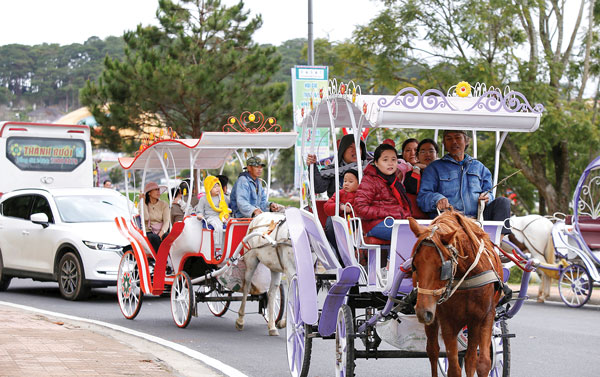 Du khách thích thú với dịch vụ đi xe ngựa quanh hồ Xuân Hương. Ảnh: C.T
