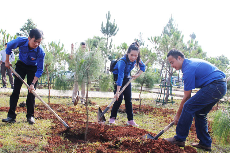 Các đoàn viên, thanh niên TP Bảo Lộc trồng cây trong khuôn viên Trung tâm Văn hóa Thông tin và Thể thao TP Bảo Lộc