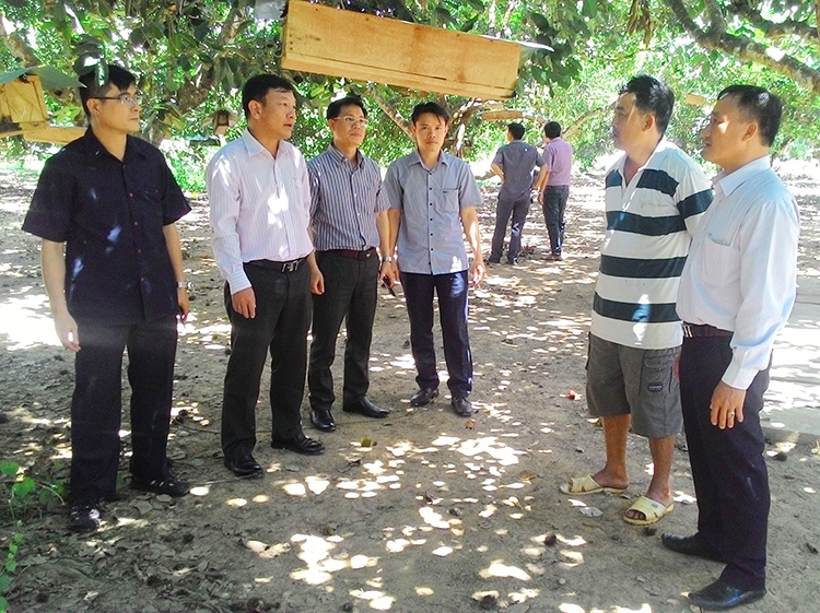 Đoàn công tác của Ban Tuyên giáo Tỉnh ủy đi thăm hộ dân nuôi ong dú dưới tán cây ăn quả tại xã Đức Phổ - Cát Tiên.