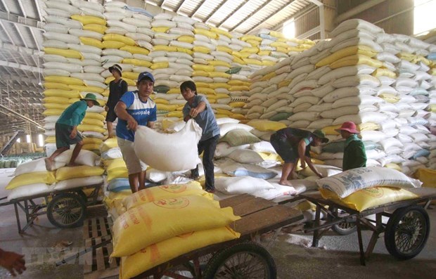 Chuẩn bị nguồn hàng gạo xuất khẩu tại Công ty Lương thực sông Hậu thuộc Tổng công ty Lương thực miền Nam