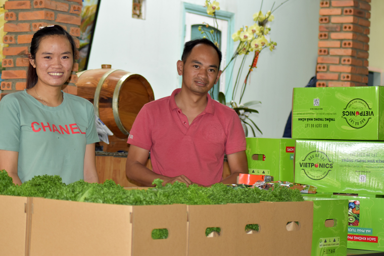 Đóng gói tiêu thụ mặt hàng nông sản qua kênh thương mại điện tử khá hiệu quả tại HTX Rau thủy canh Việt ở Đà Lạt
