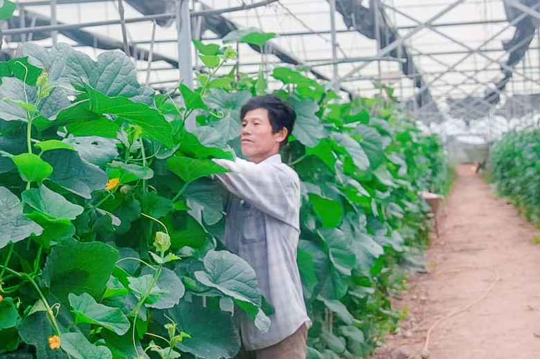 Thông qua phong trào đã thúc đẩy nông dân thi đua sản xuất, kinh doanh giỏi
