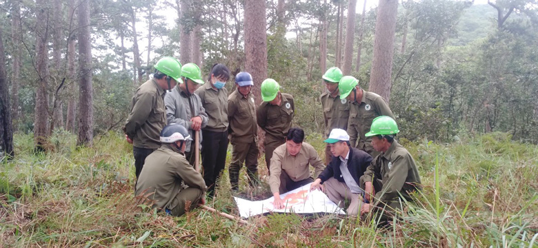 Ban Quản lý rừng Lâm Viên tăng cường công tác quản lý, bảo vệ rừng