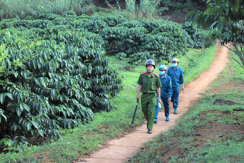 Công an huyện Bảo Lâm tuần tra đảm bảo an ninh trật tự mùa thu hoạch cà phê