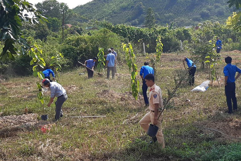 Các lực lượng tham gia trồng cây xanh trên địa bàn huyện Đam Rông