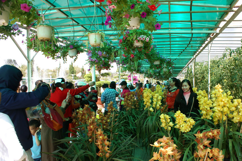 Điều chỉnh thời gian tổ chức chương trình ''Trưng bày, triển lãm hoa và cây có hoa quốc tế''