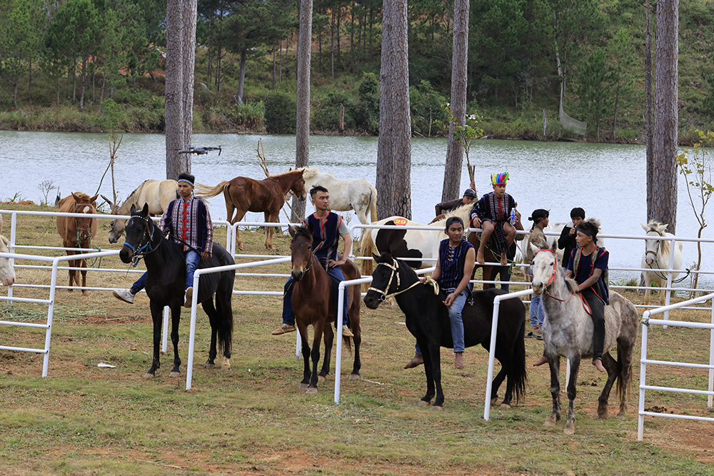 Đây là những chú ngựa do người dân huyện Lạc Dương nuôi dưỡng, huấn luyện
