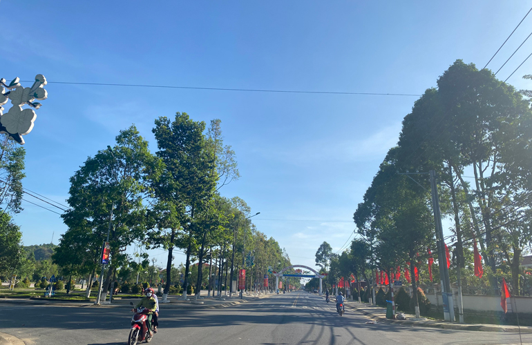 Đường phố thị trấn Cát Tiên được trang hoàng với cờ hoa rực rỡ