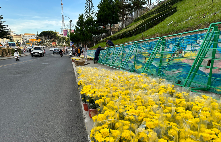 Thành phố Đà Lạt đang tập trung cao độ cho giờ khai mạc, mọi không gian đều ngập tràn hoa