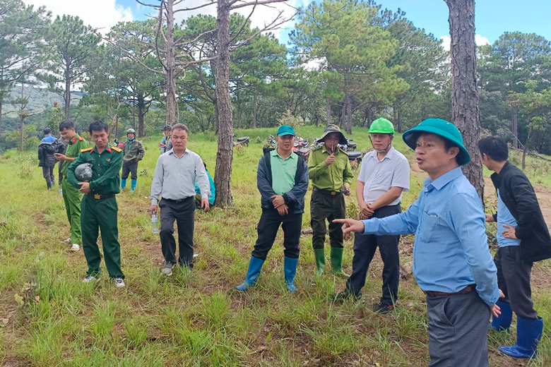 Công tác quản lý, bảo vệ rừng và phát triển rừng được Thường trực Huyện ủy, UBND huyện chỉ đạo quyết liệt