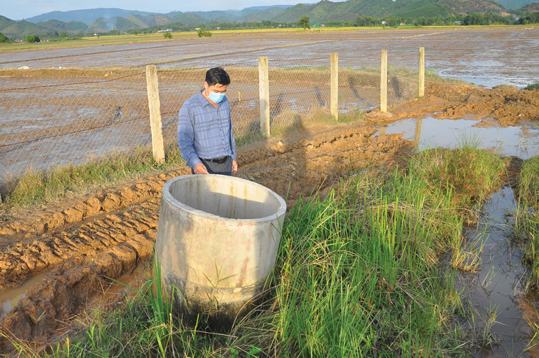 Một bể thu gom bao bì hóa chất sau sử dụng trên đồng ruộng tại huyện Cát Tiên