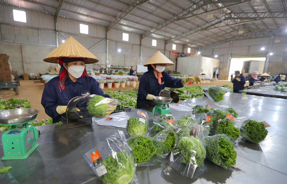 Thưởng Tết Nguyên đán 2023 cao nhất 120 triệu, thấp nhất 200.000 đồng