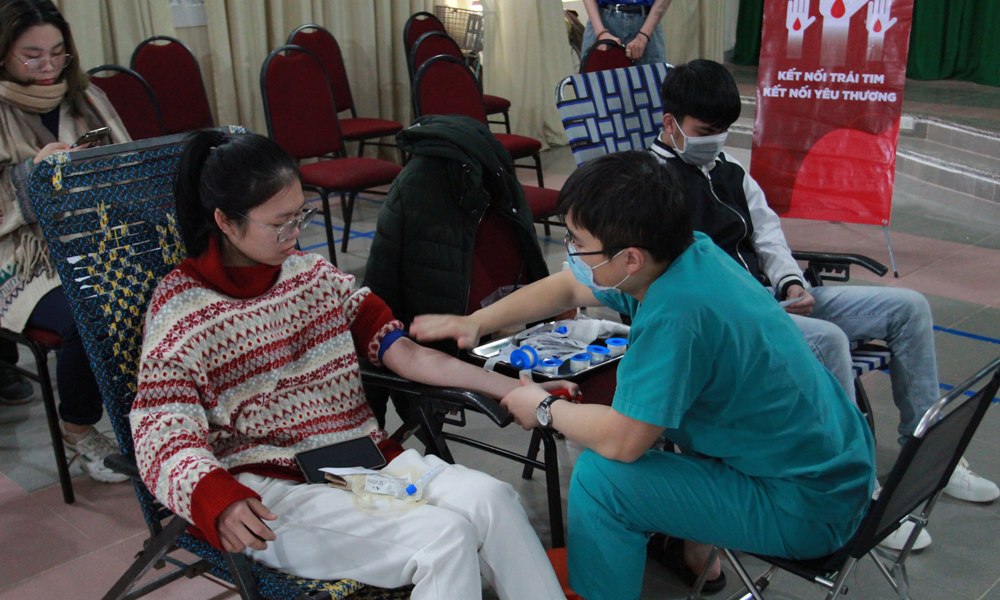 Sinh viên Trường Đại học Yersin Đà Lạt tổ chức nhiều hoạt động vì cộng đồng