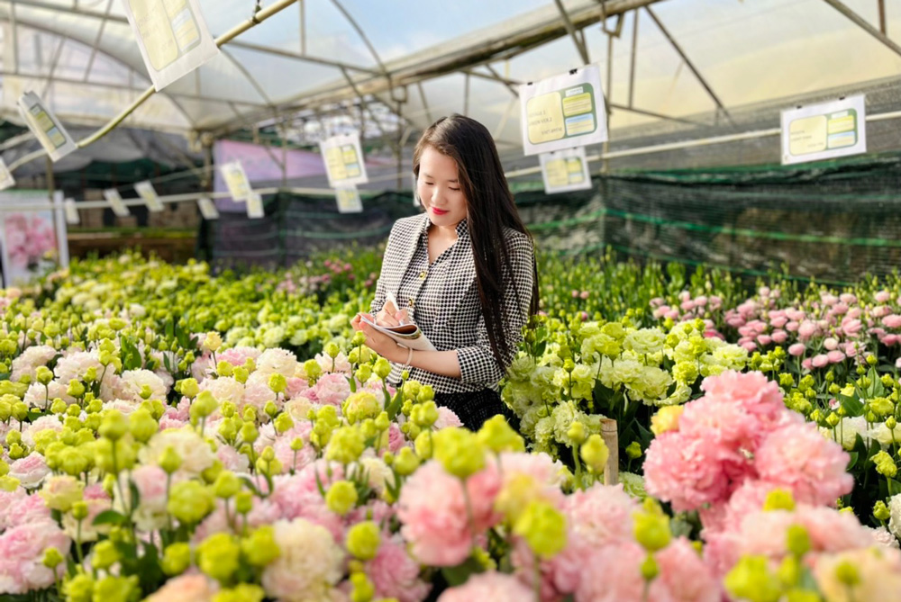 Hoa cát tường xoăn - thêm lựa chọn cho nhà nông