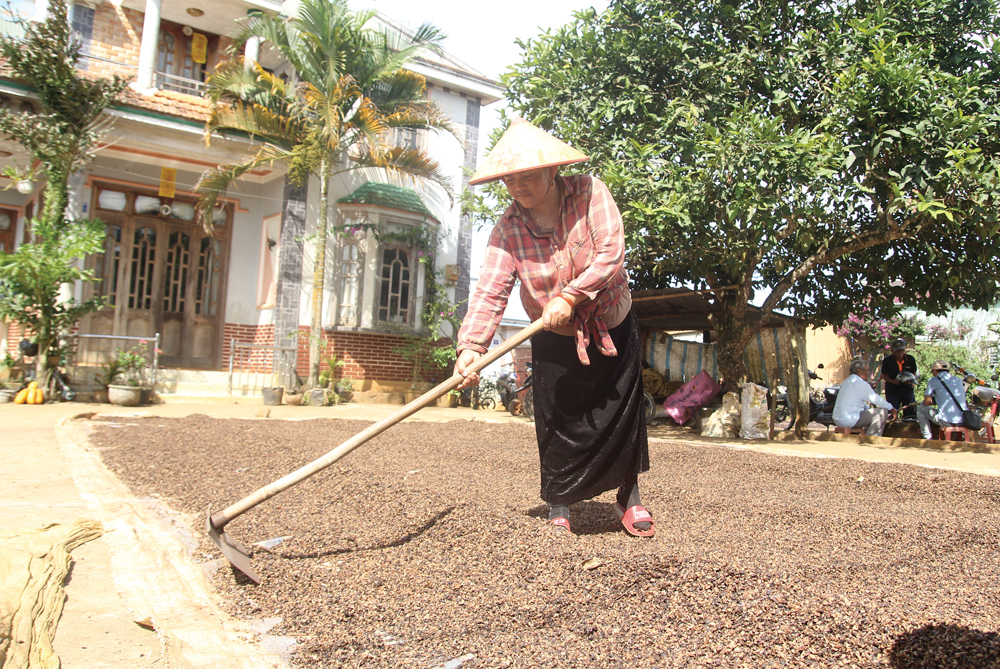 ''Làng biệt thự''