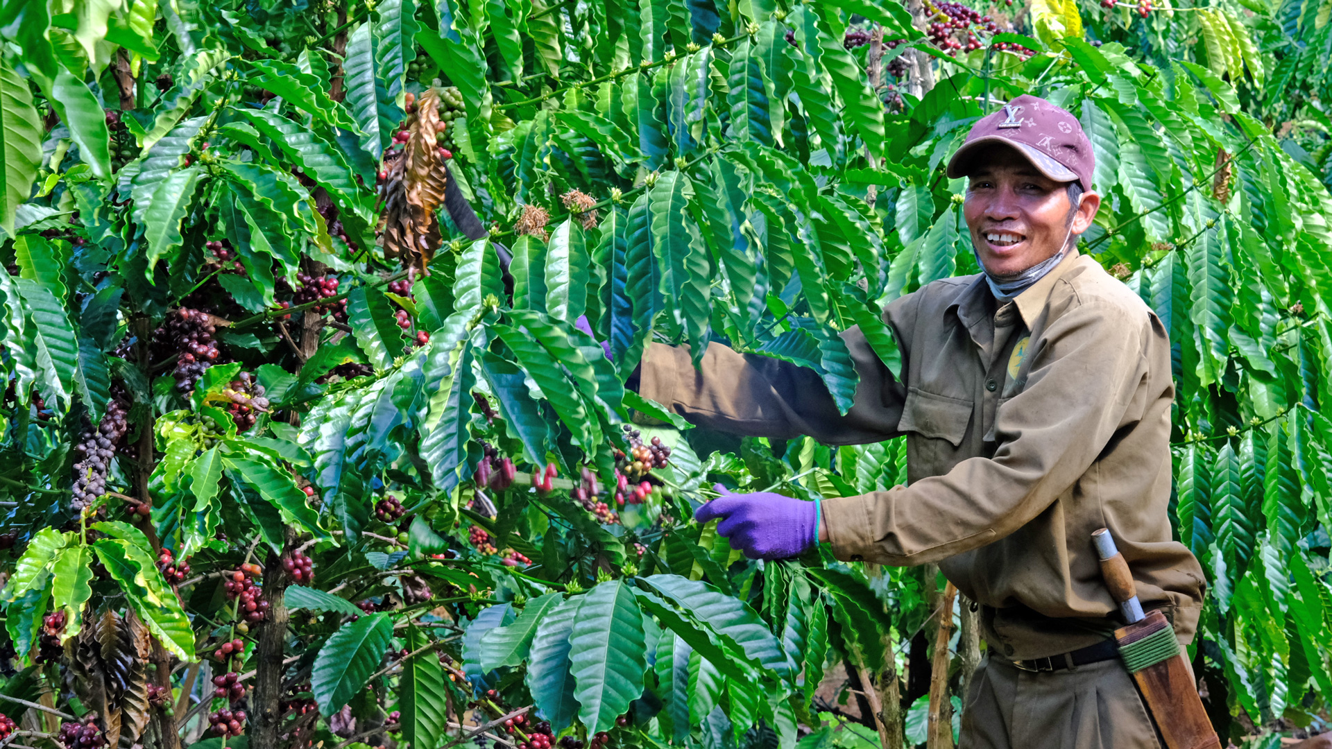 Nắng sớm trên Tôn K’Long