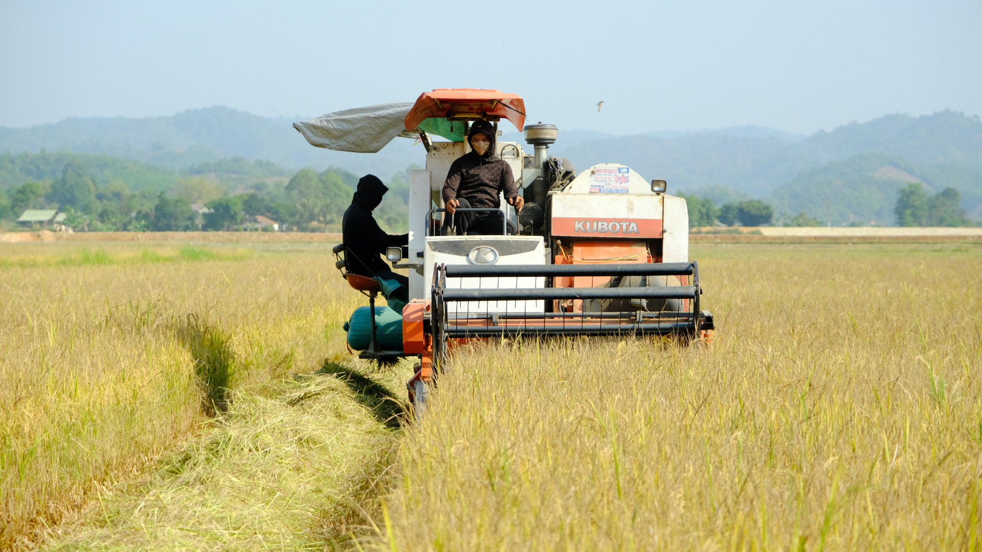 Cát Tiên: Một năm vượt khó phát triển kinh tế - xã hội