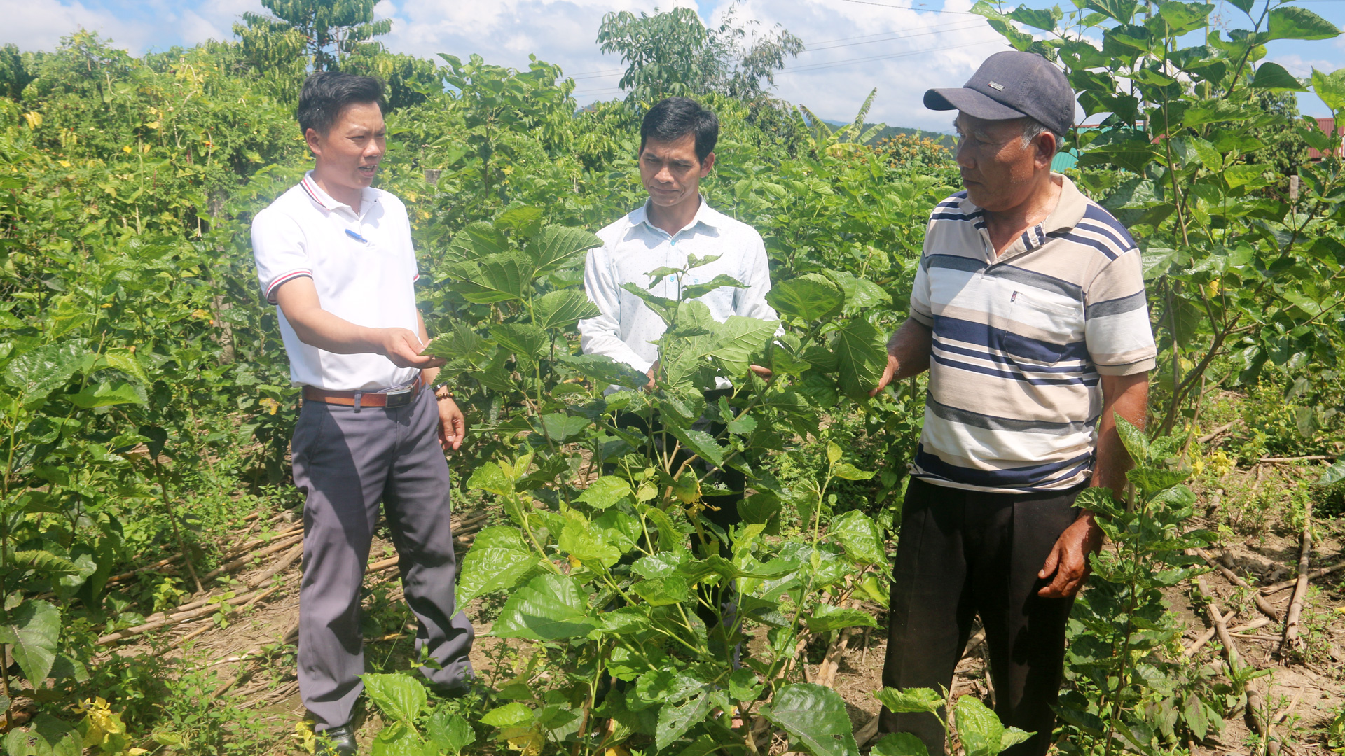 Những gương sáng buôn làng