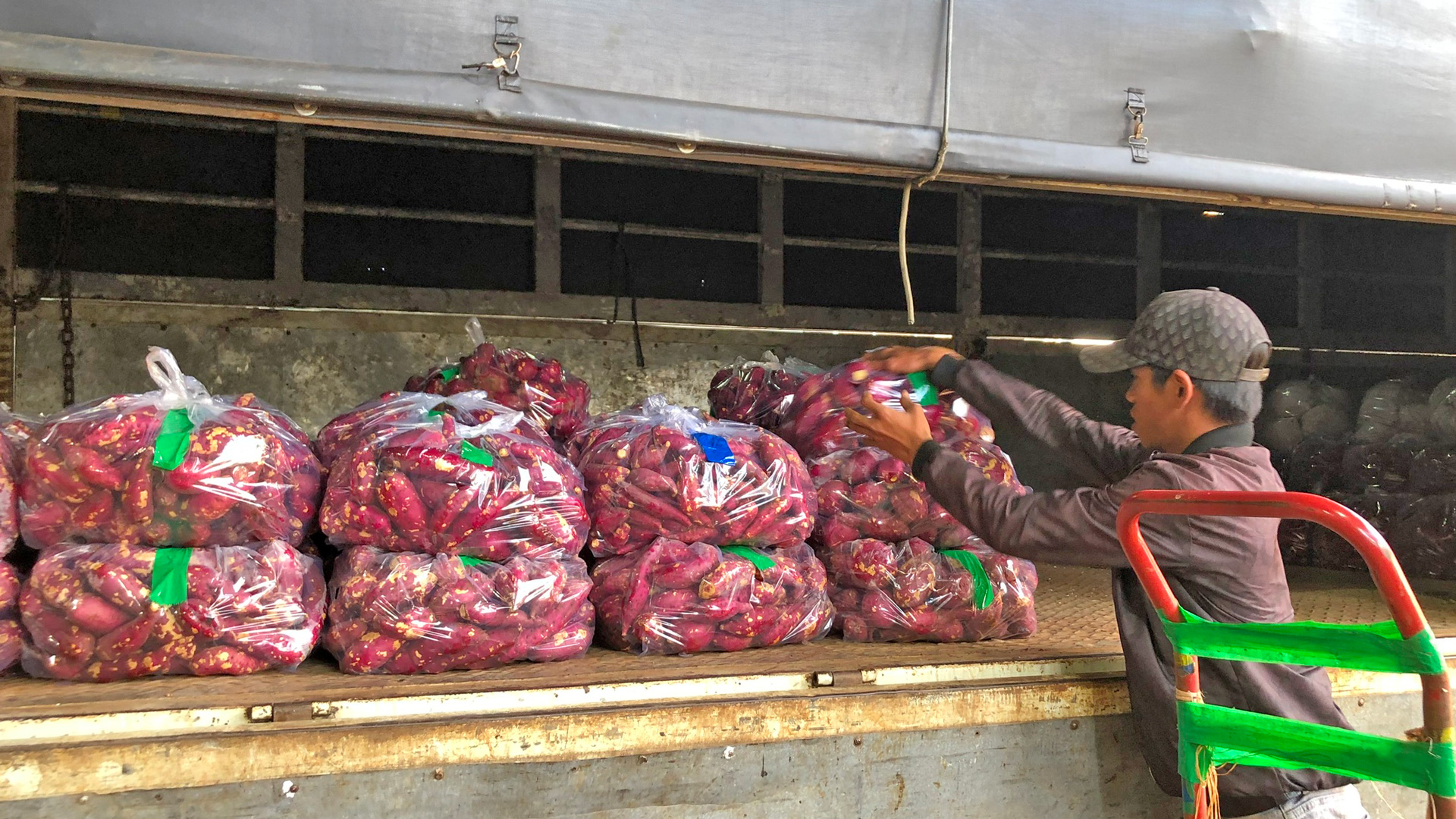 An Farm xây dựng nông trại an toàn