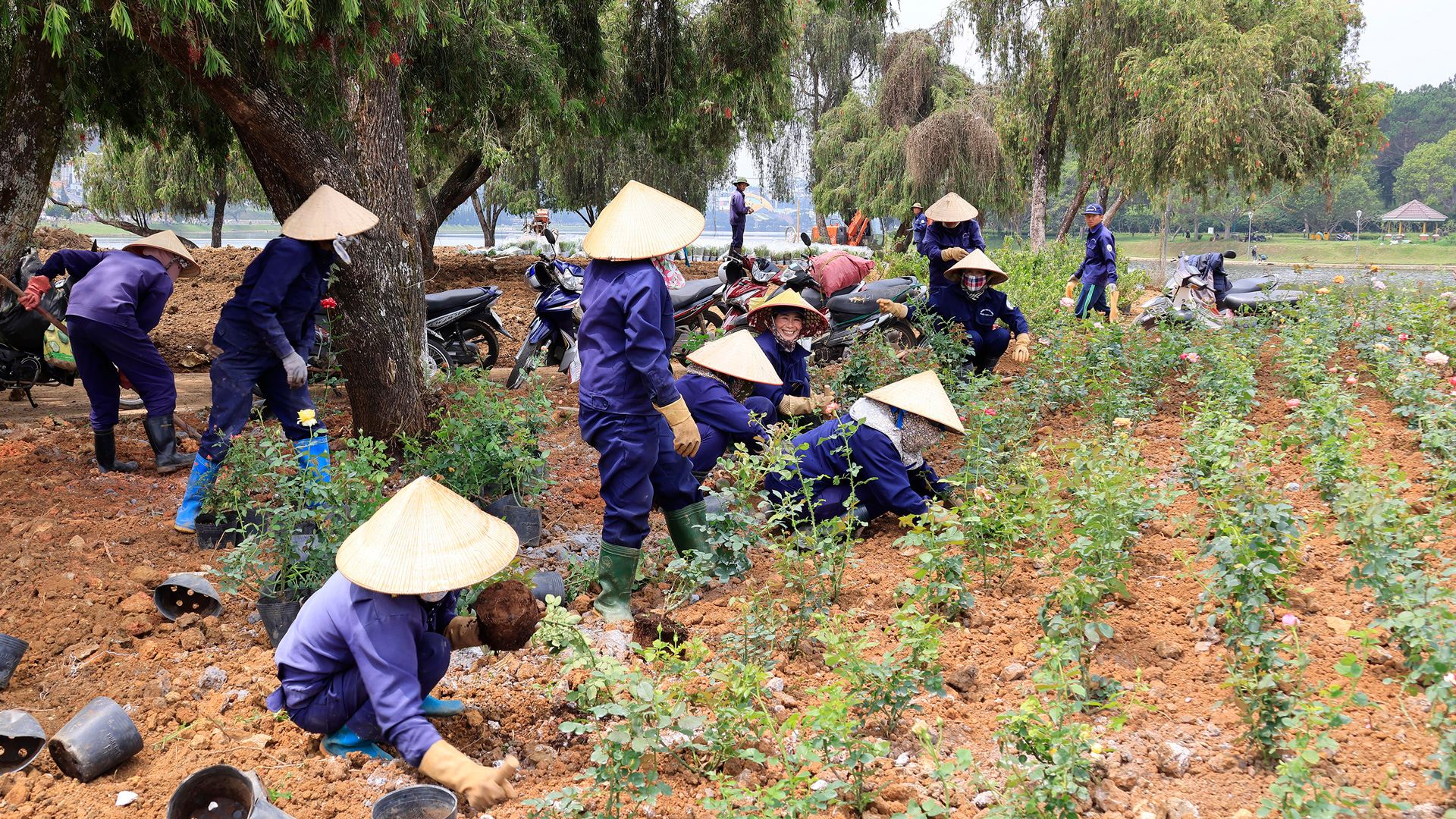 Sắp xếp, đổi mới và nâng cao hiệu quả hoạt động doanh nghiệp nhà nước