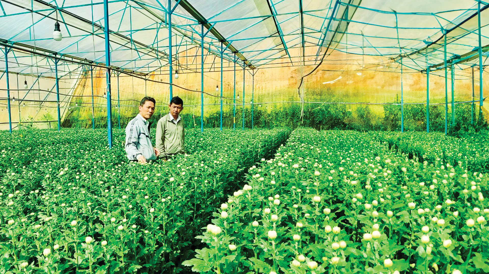 Đẩy mạnh phong trào học tập trong đội ngũ nông dân