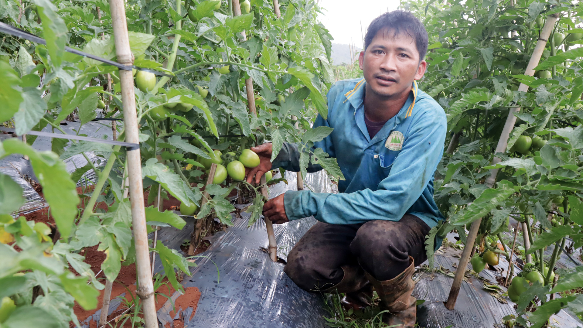 Chuyển biến trong công tác giảm nghèo ở Di Linh