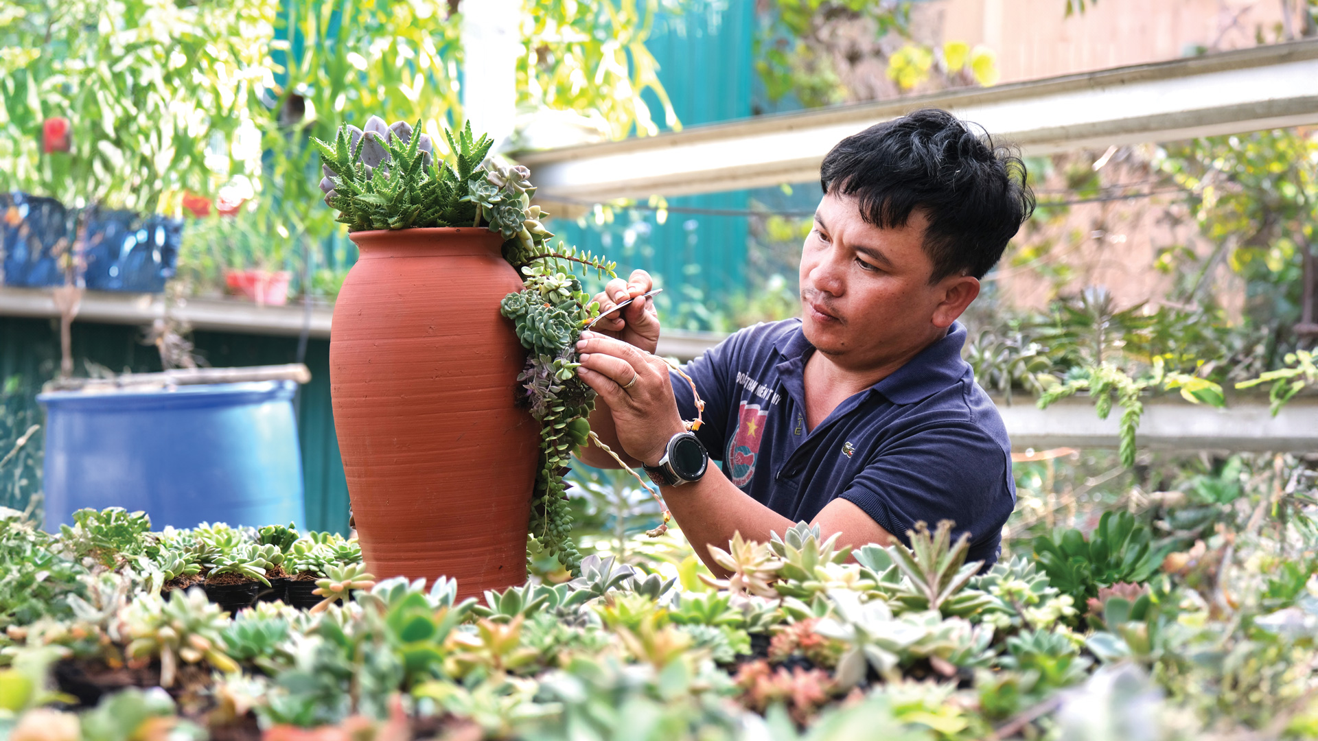 “Quả ngọt” từ niềm đam mê nông nghiệp