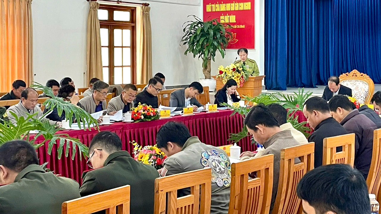 Lạc Dương: Vi phạm Luật Lâm nghiệp giảm sâu trên cả 3 mặt