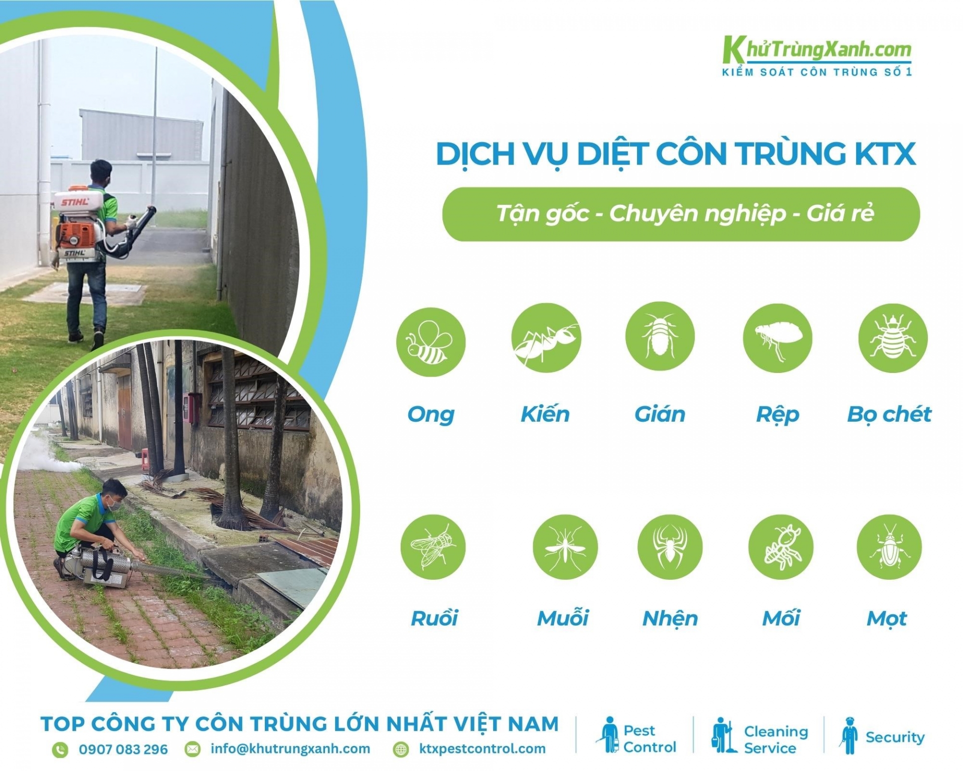 Dịch vụ diệt côn trùng chuyên nghiệp, bảo vệ sức khỏe gia đình bạn