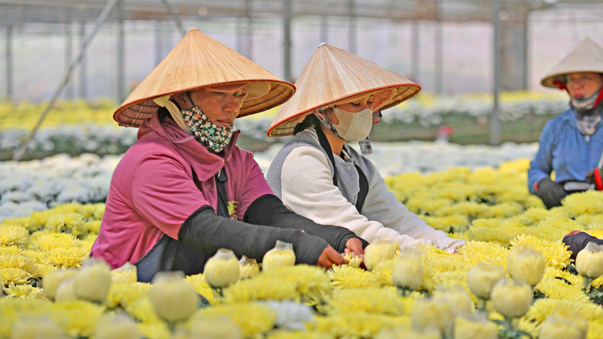 Khai thác hiệu quả các hiệp định thương mại tự do