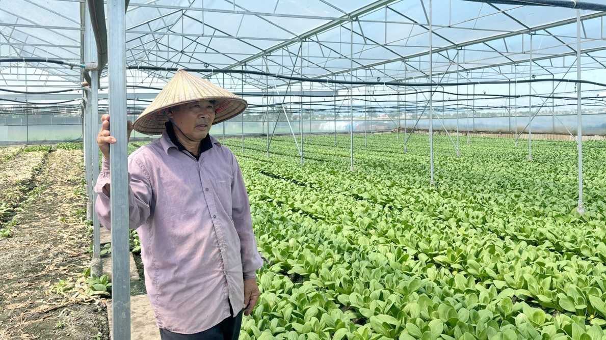 Hợp tác xã của những cựu chiến binh