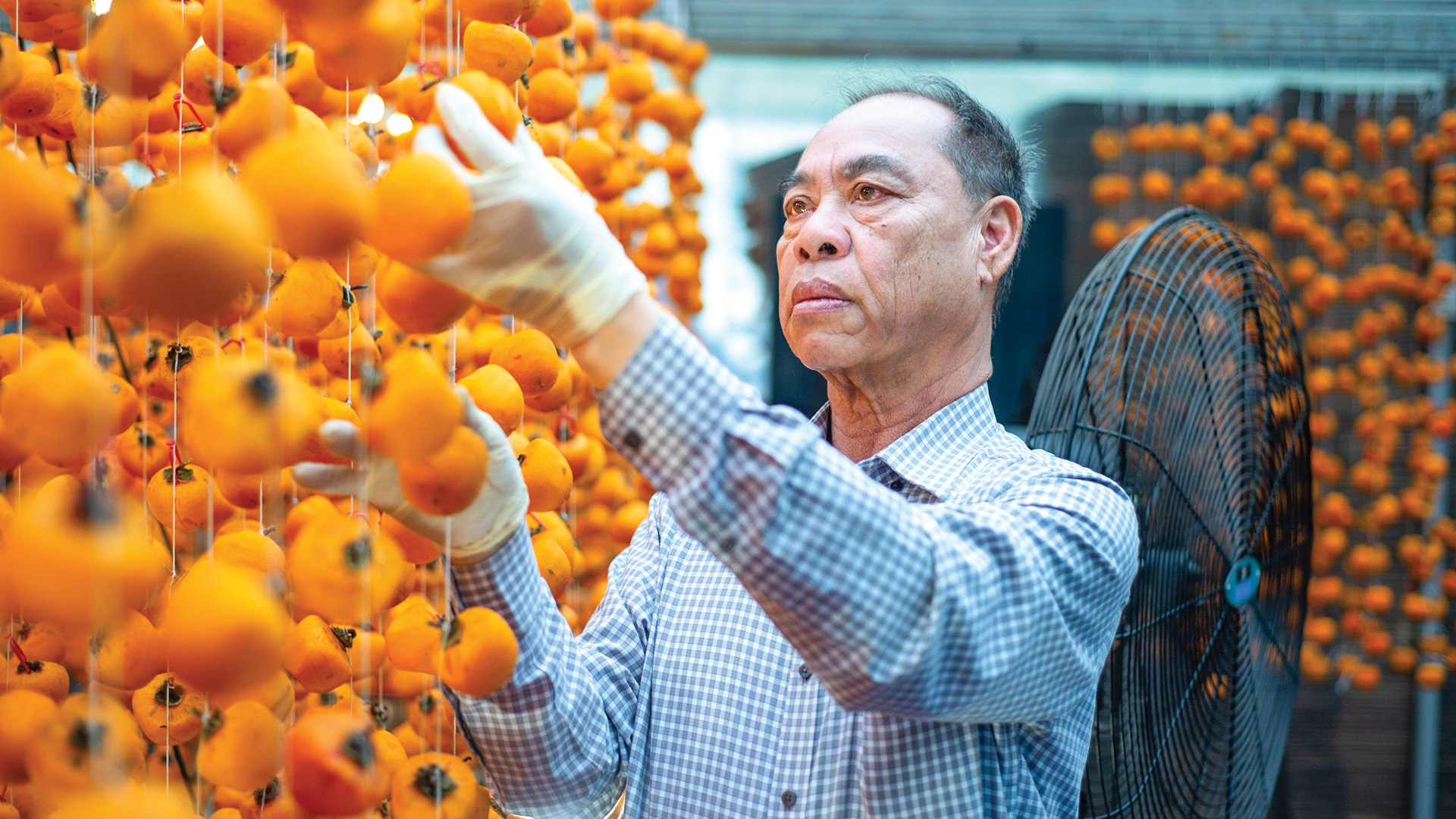 Người tiên phong tạo dựng thương hiệu hồng treo gió Đà Lạt