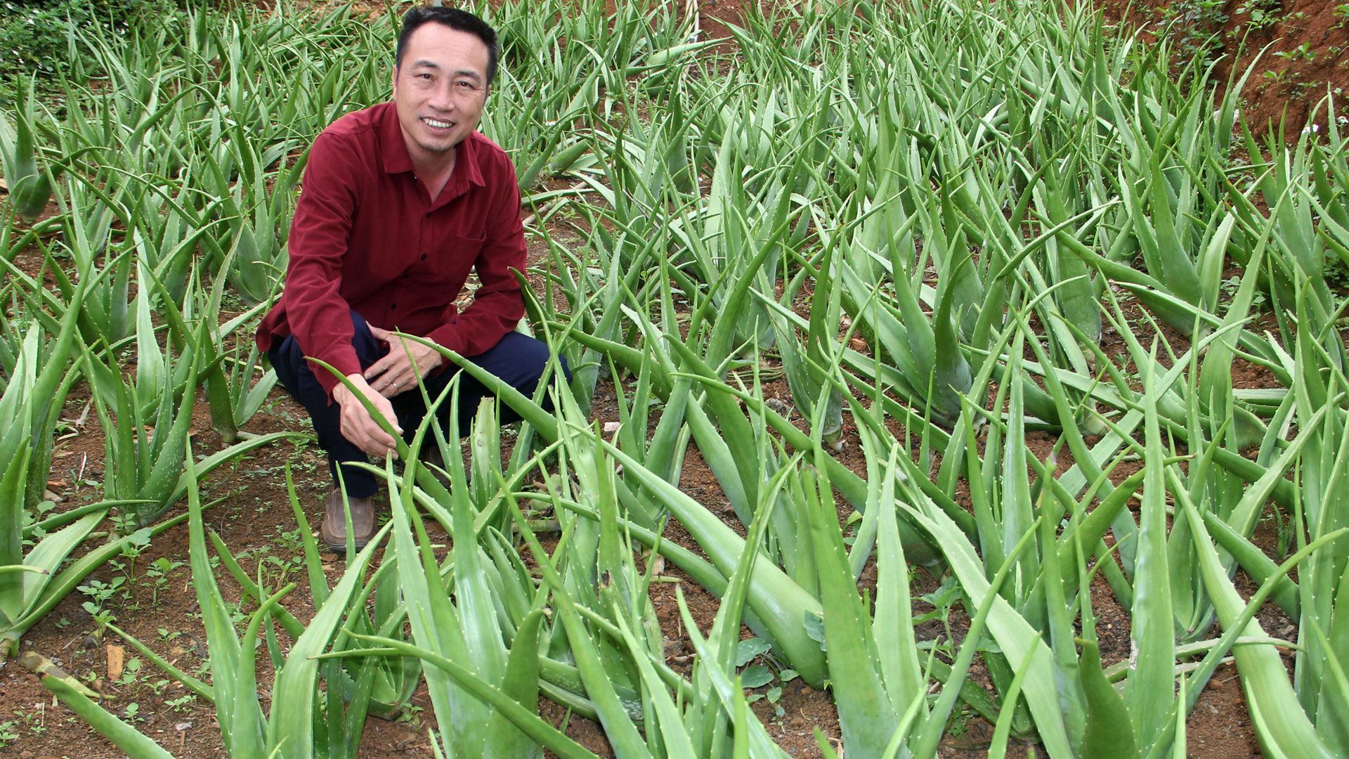 BÁO XUÂN 2025: Đưa nông sản lên sàn thương mại điện tử 