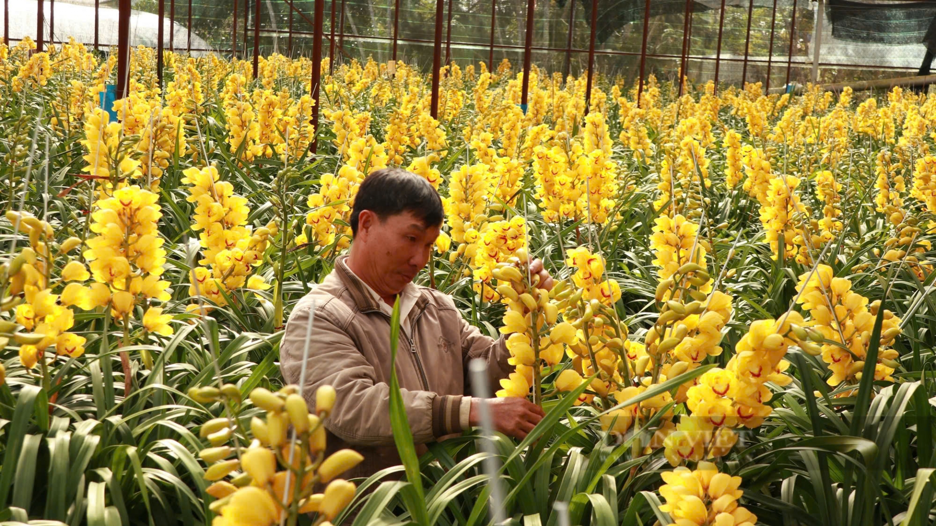 Địa Lan - Nét đẹp mộc mạc giữa thành phố ngàn hoa