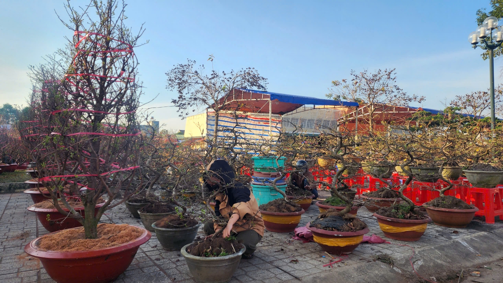 Lâm Hà: Tổ chức các hội Xuân Ất Tỵ