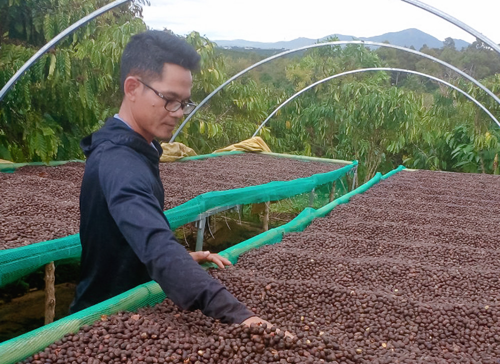 Jrơland Coffee, cà phê sạch của chàng trai người K’Ho