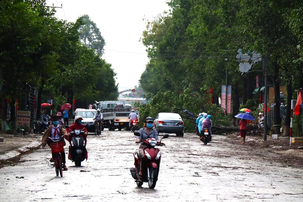 Cát Tiên: Lốc xoáy khiến hàng loạt cây xanh ngã đổ, tốc mái nhà