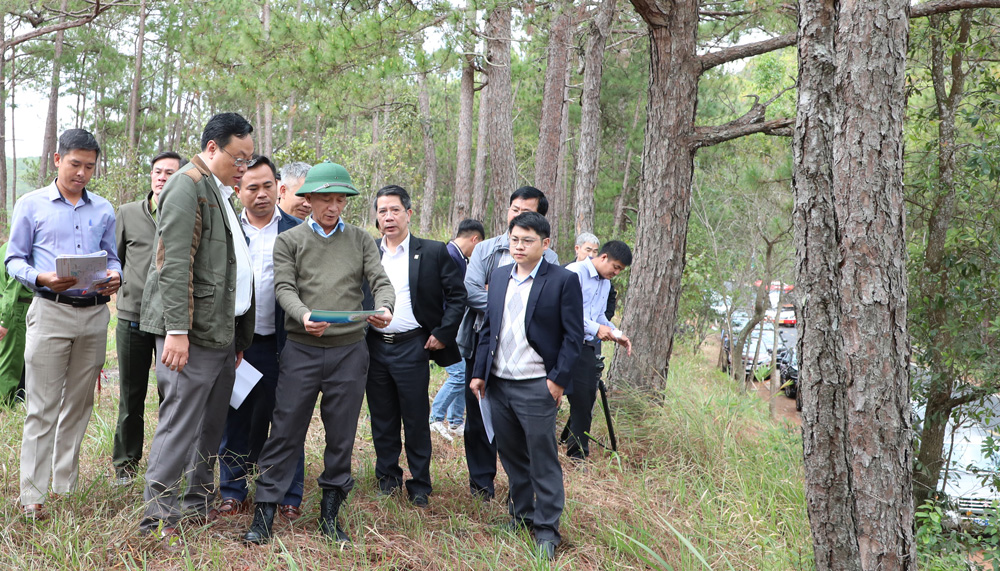Chủ tịch UBND tỉnh kiểm tra công tác triển khai dự án mở rộng đèo Prenn và đường vành đai hồ Tuyền Lâm